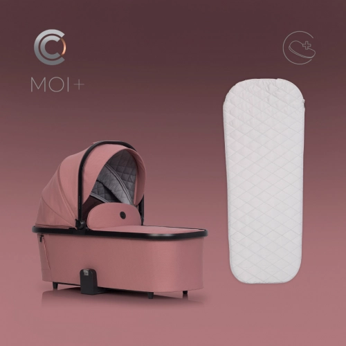 Cavoe Moi+ Iron Bērnu rati 2in1