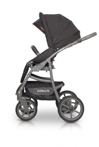 Colibro Focus Ink Bērnu rati 2 in 1