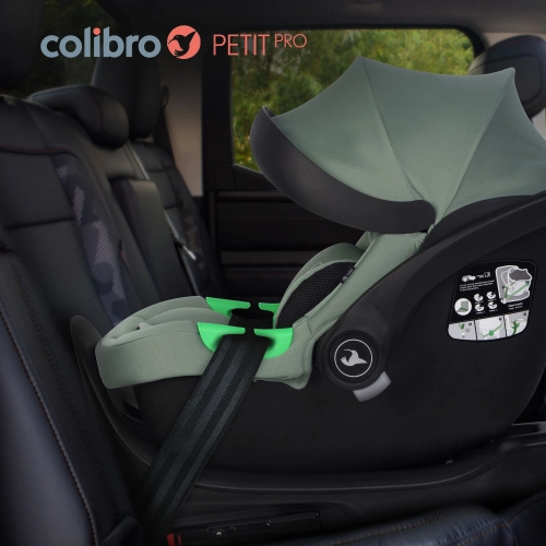 Colibro Petit Pro Pine + Isofix bāze Bērnu autosēdeklis 0-13 kg