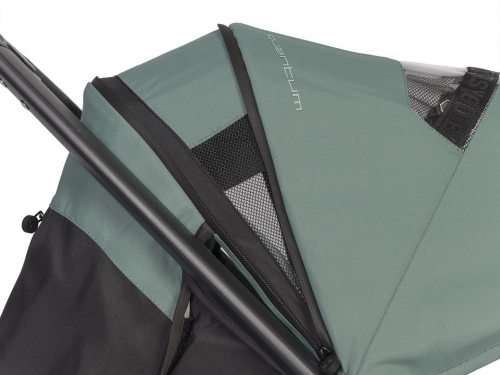 EasyGo Quantum Agava Pastaigu rati