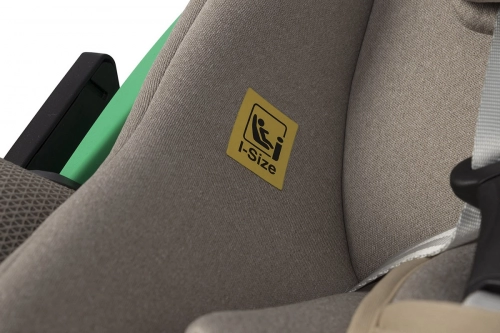 EasyGo Buz Taupe Bērnu autosēdeklis 0-13 kg