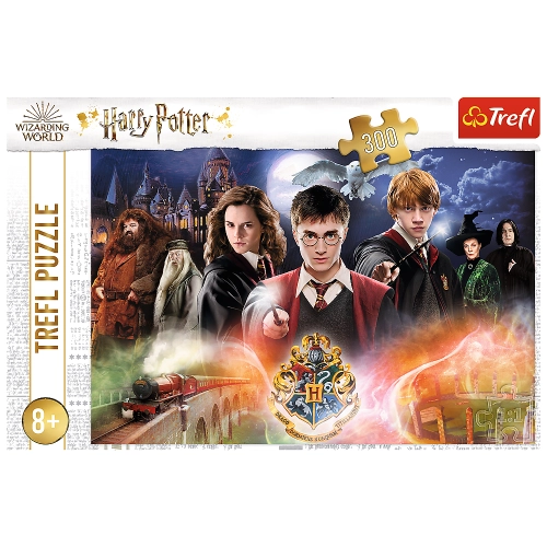 Harry Potter Puzzle 300 pcs. Mysterious Harry Potter 23001