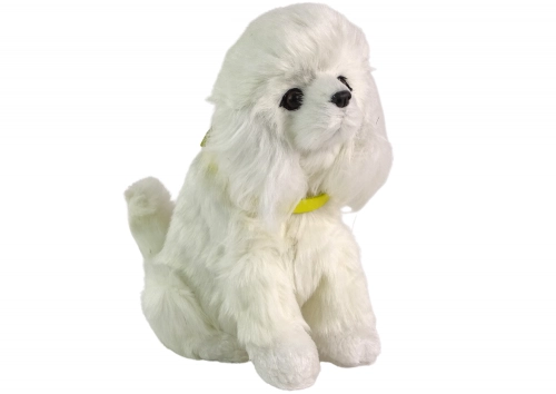 Interactive Plush Dog Soft fur Breed Poodle Stroke its head and learn its functions