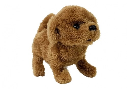 Interactive Puppy Battery Operated Brown Walks Moves His Tail Sound