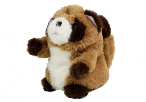 Interactive Talking Raccoon Repeating Words Plush