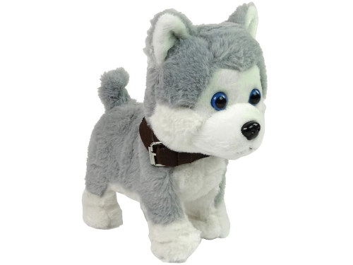 Plush Dog Interactive Educational Leash Songs Walks