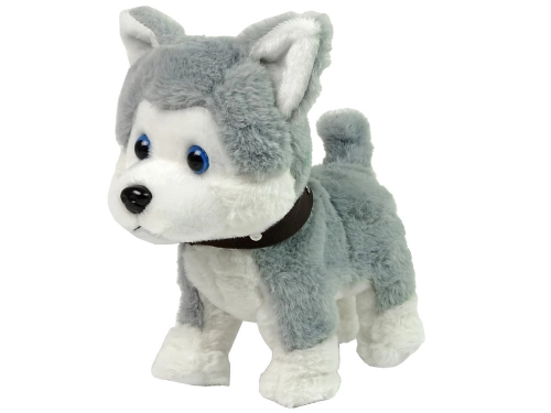 Plush Dog Interactive Educational Leash Songs Walks