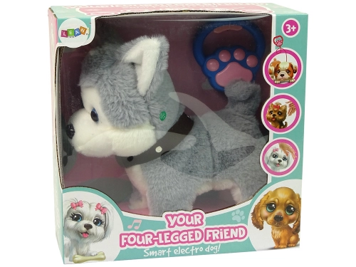Plush Dog Interactive Educational Leash Songs Walks
