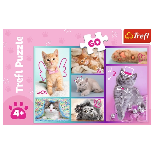 Puzzle - "60" - Sweet Kittens / Trefl 17373
