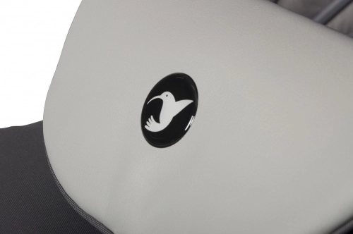 Colibro Focus Ink Детская коляска 2 в 1
