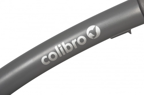 Colibro Focus Ink Детская коляска 2 в 1