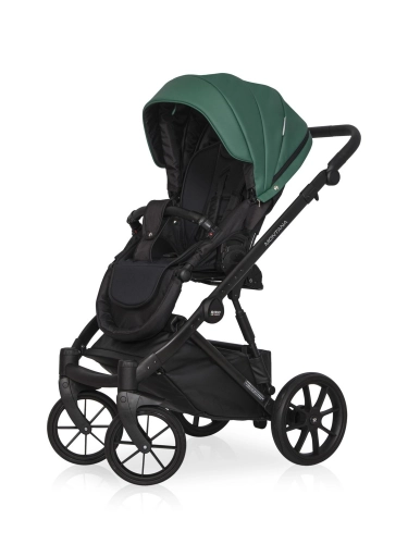 Riko Basic Montana Ecco 13 Jungle Детская коляска 2 в 1