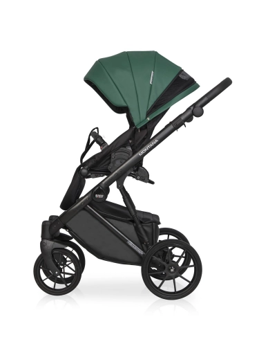 Riko Basic Montana Ecco 13 Jungle Детская коляска 2 в 1