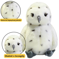 Plush Owl Bird Plush Toy Mascot Cuddly Toy White 23cm