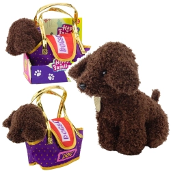 Poodle Dog in Velcro Bag, Cuddly Toy, Dark Brown
