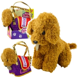 Poodle Dog in Velcro Bag, Soft Toy, Light Brown
