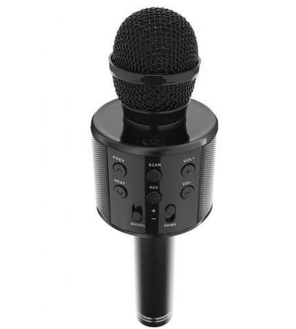 Mikrofons KARAOKE ar skaļruni 8995 black