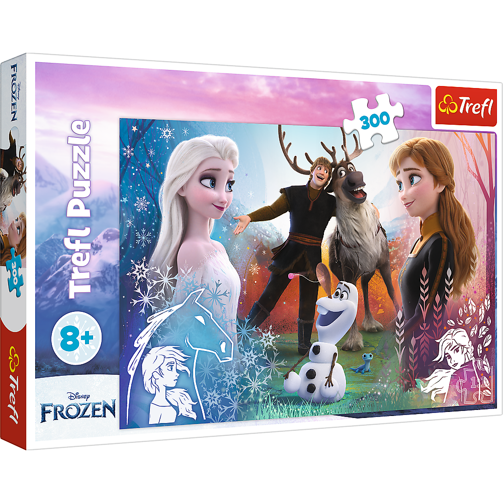 Puzzle - 300 - Magic time - Disney Frozen 2 23006