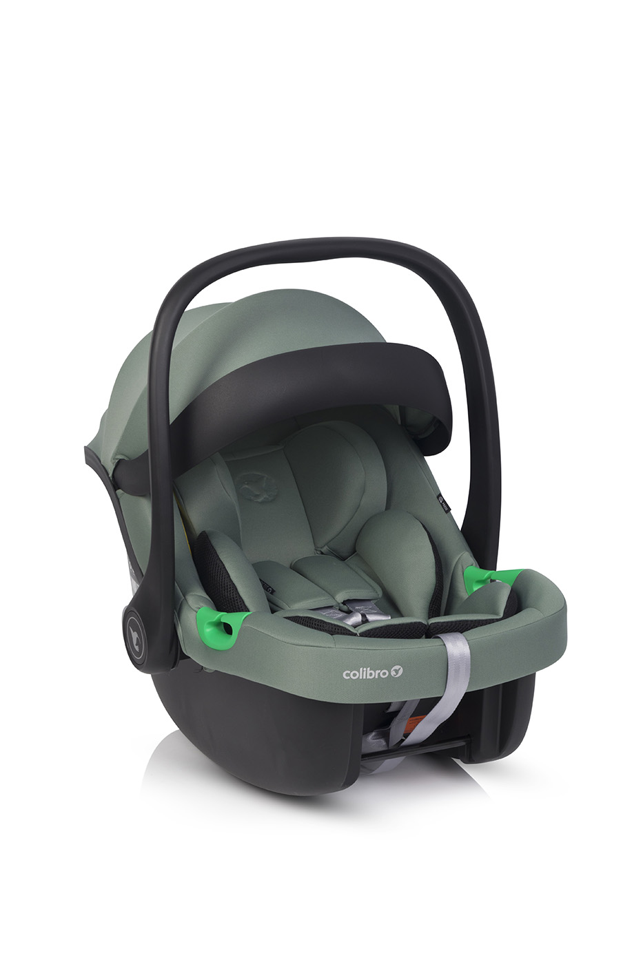 Colibro Petit Pine Детское автокресло 0-13 кг